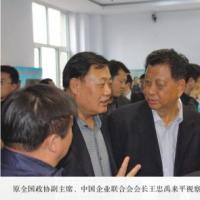 原全国政协副主席、中国企业联合会会长王忠禹来平视察