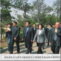 省政协和市政协机关干部到四平北山烈士陵园祭扫