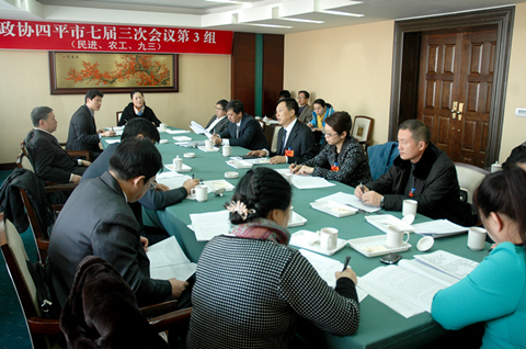 市委常委、常务副市长魏启生参加市政协七届三次会议分组讨论