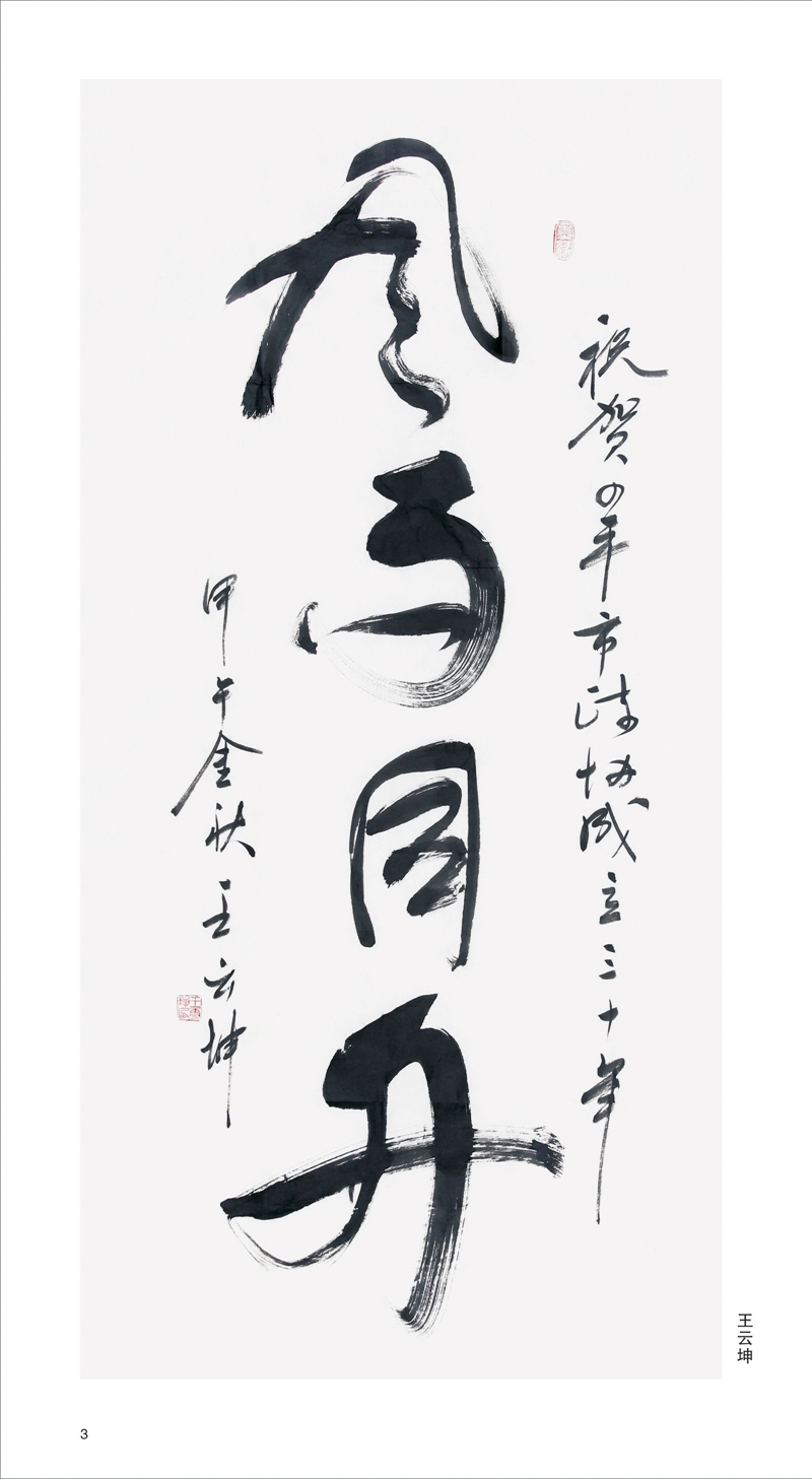 王云坤作品