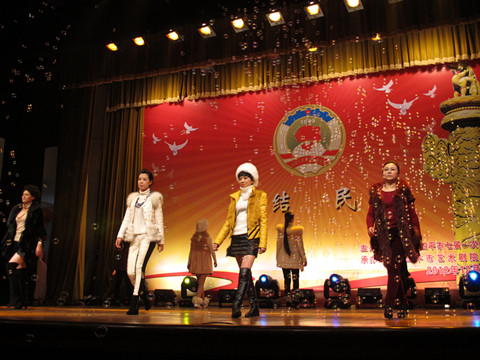 政协委员们在联欢会上的精彩演出?
