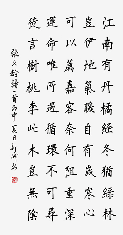 张新成作品