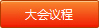 大会议程