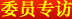 委员专访
